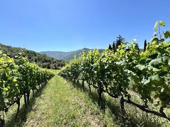 Fattoria San Leolino