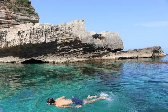 Marlove Tropea
