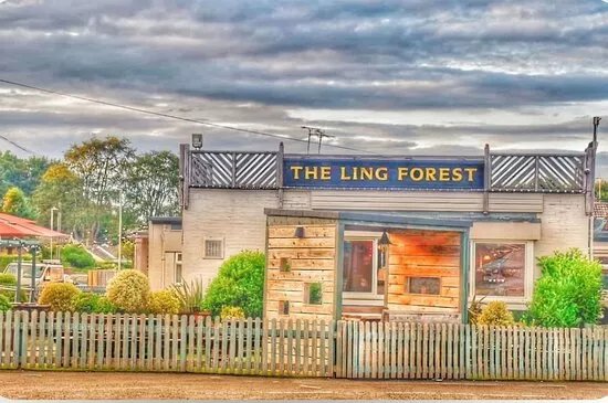 Ling Forest Inn
