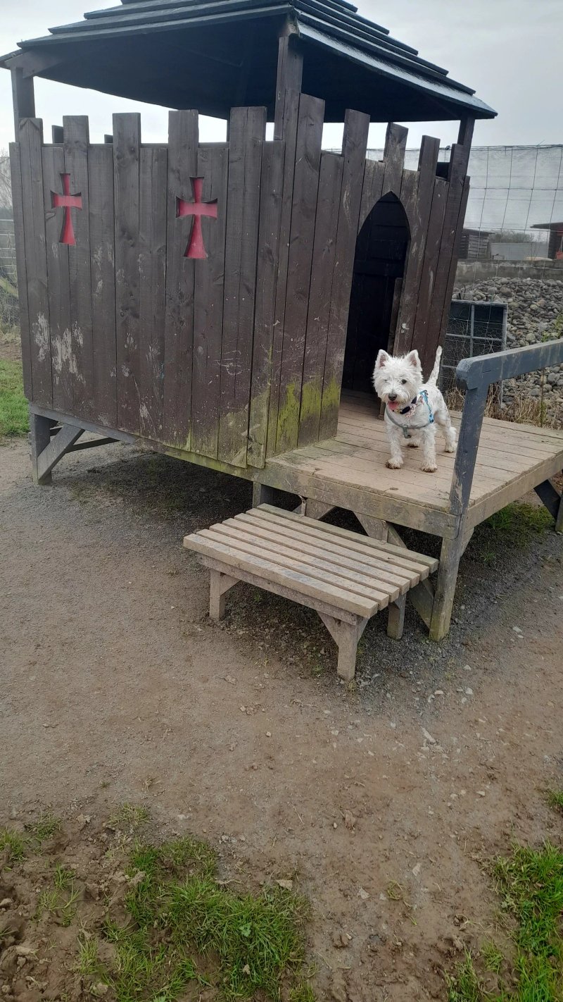 Wag And Run Dog Park