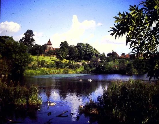 Stonebridge Pond