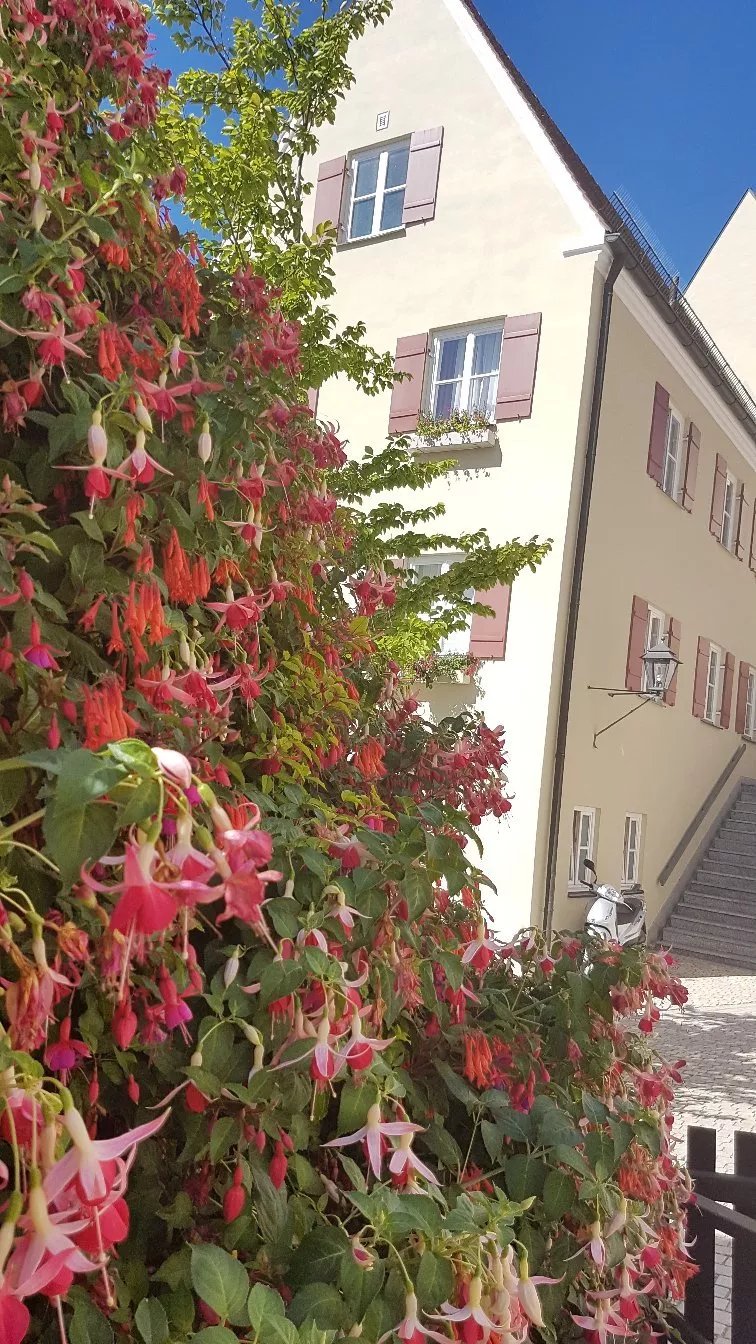 Gasthof & Pension zur Ente