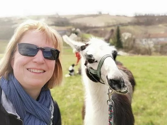 A passeggio con i Lama e gli Alpaca nelle colline selvagge del Monferrato