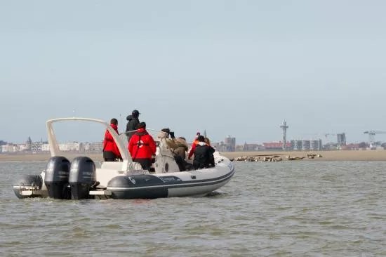 Knokke Boat Duinbergen