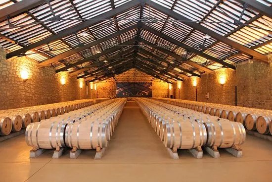 CVNE Vino