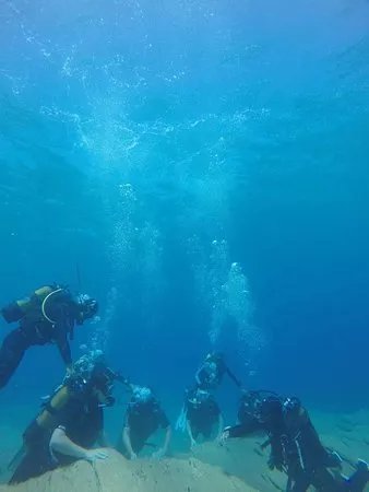 Stay Wet Diving Center