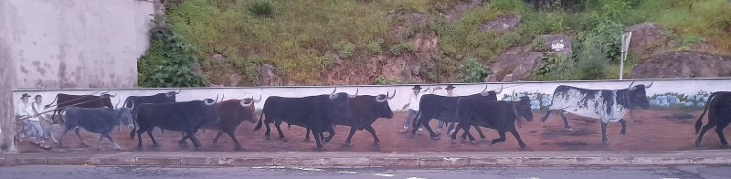 Mural Passagem de Gado Bravo