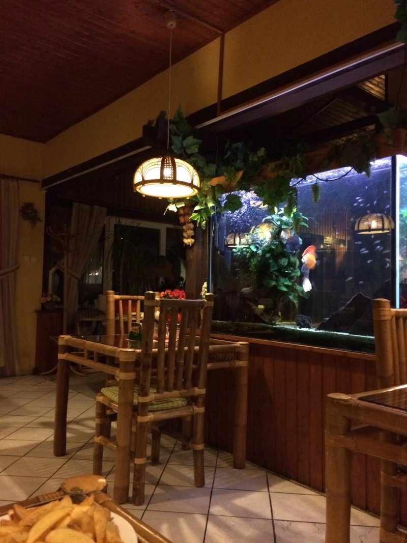 Restauracia ZLATY VODNIK