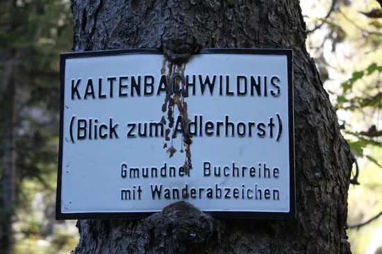 Kaltenbachwildnis