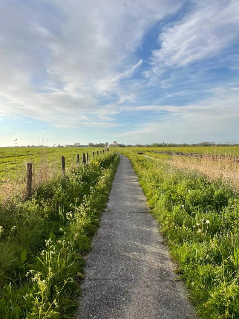 Eeltjemeer