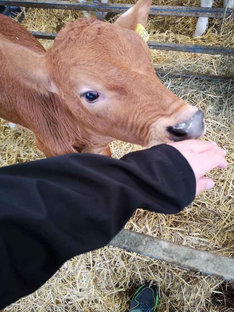 Peak House Farm