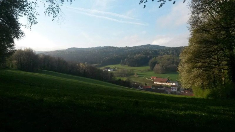 Ulrichsgrun