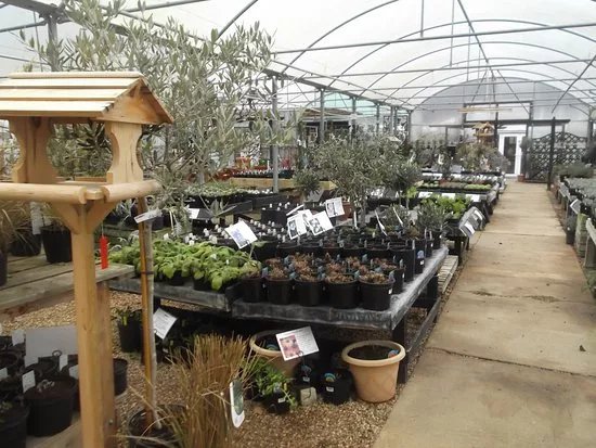 The Herb Farm