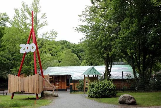 Wingster Waldzoo