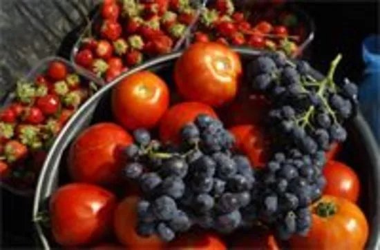 Top Fruits