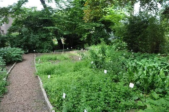Botanische Tuin Afrikaanderwijk