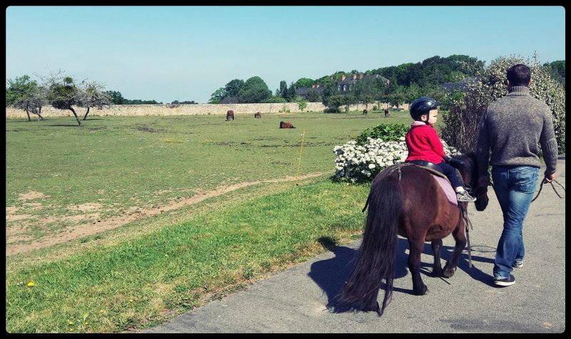 Les Poneys du Clos