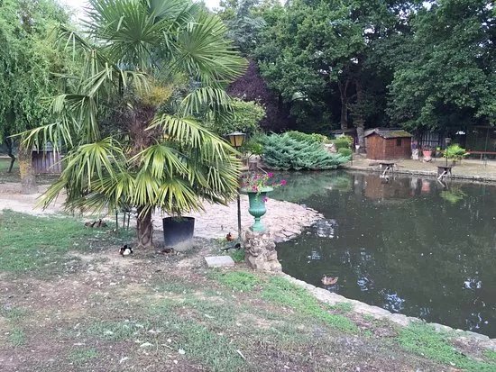 Parc Ornithologique de Bretagne