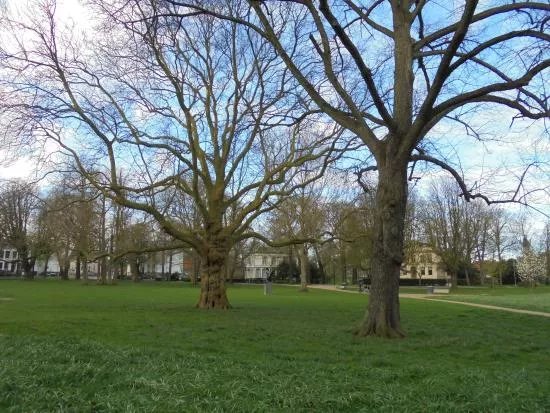 Kenaupark