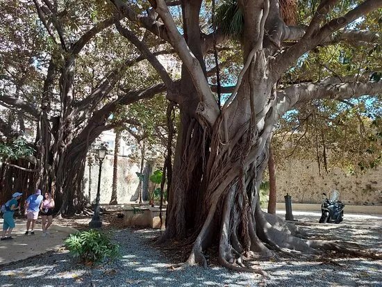 Giardino Aretusa