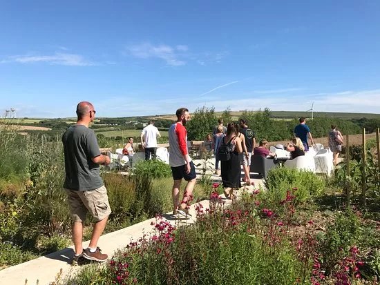 Trevibban Mill Vineyard & Orchard