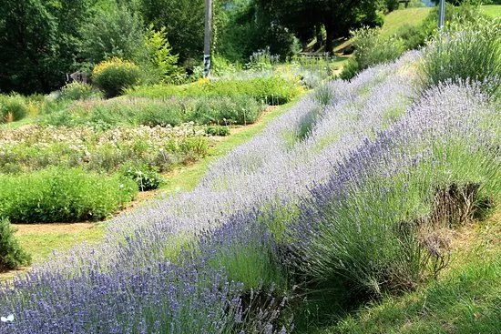 Giardino delle Erbe Augusto Rinaldi Ceroni