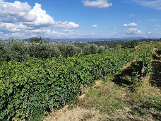 Agricola Tamburini Emanuela