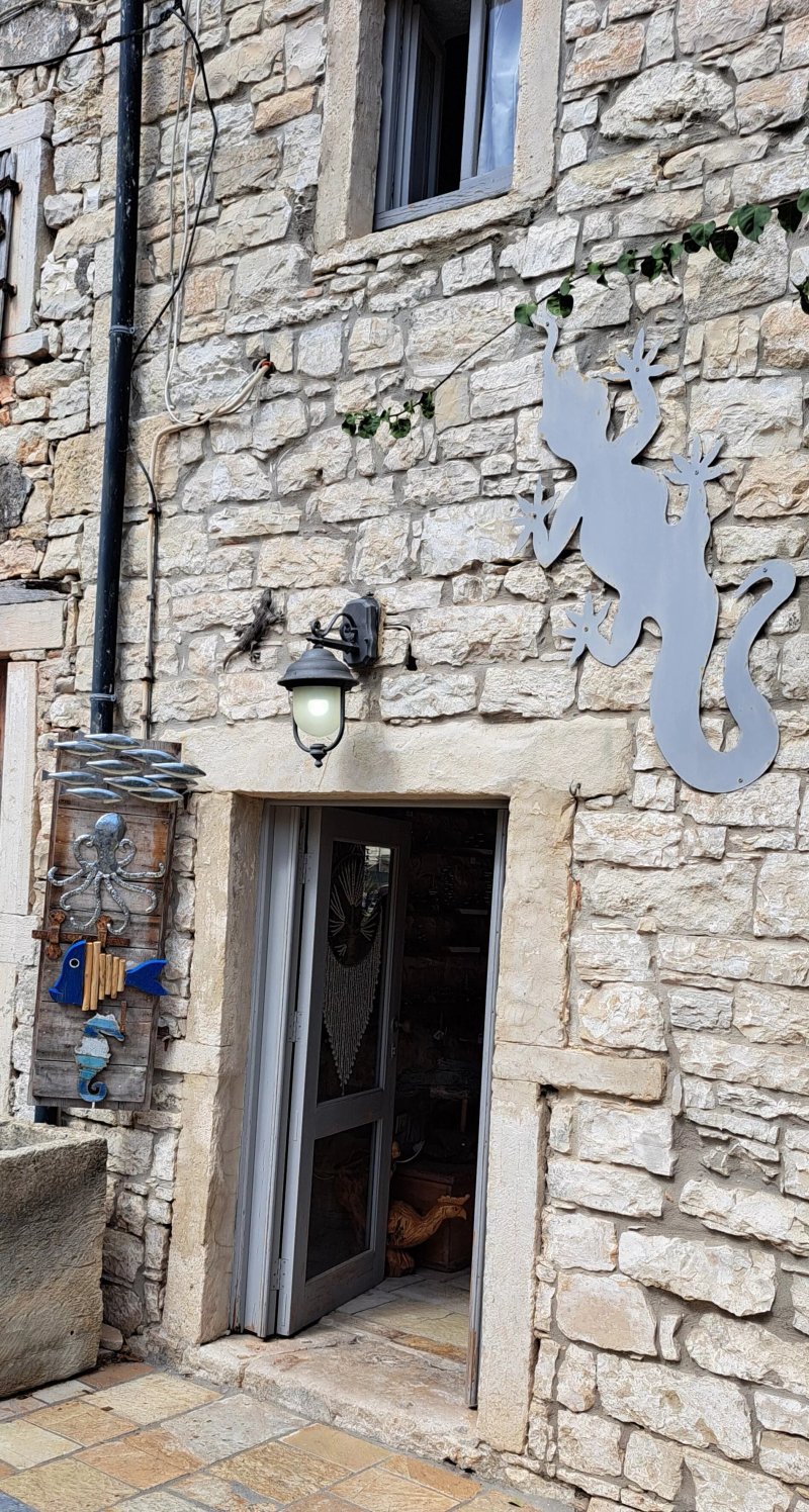 The Gecko Shop (sarah's Shop)