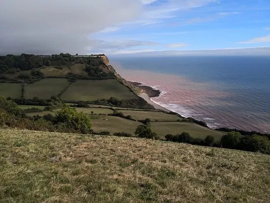 Sidmouth Park