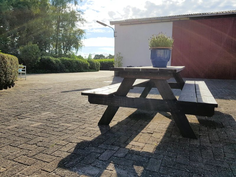 Ferienbauernhof De Slaaphoeve