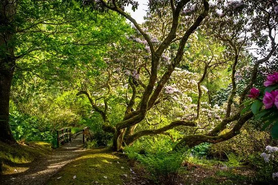 Ardkinglas Woodland Garden