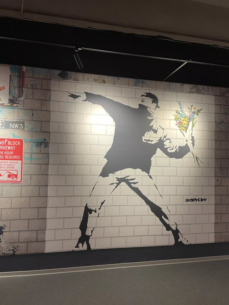 The Mystery Of Banksy - A Genius Mind
