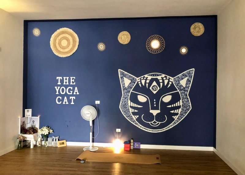 The Yoga Cat Tenerife