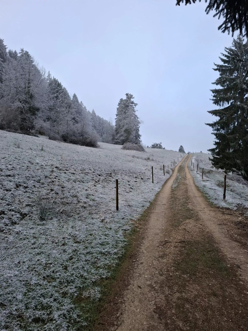 Clubhutte auf dem Stierenberg