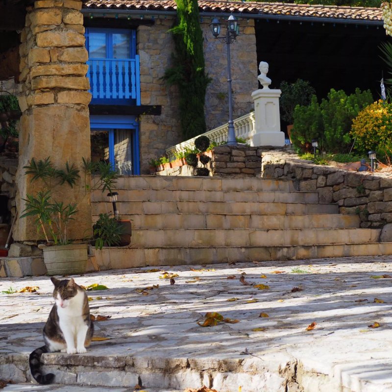 Domaine de Mournac