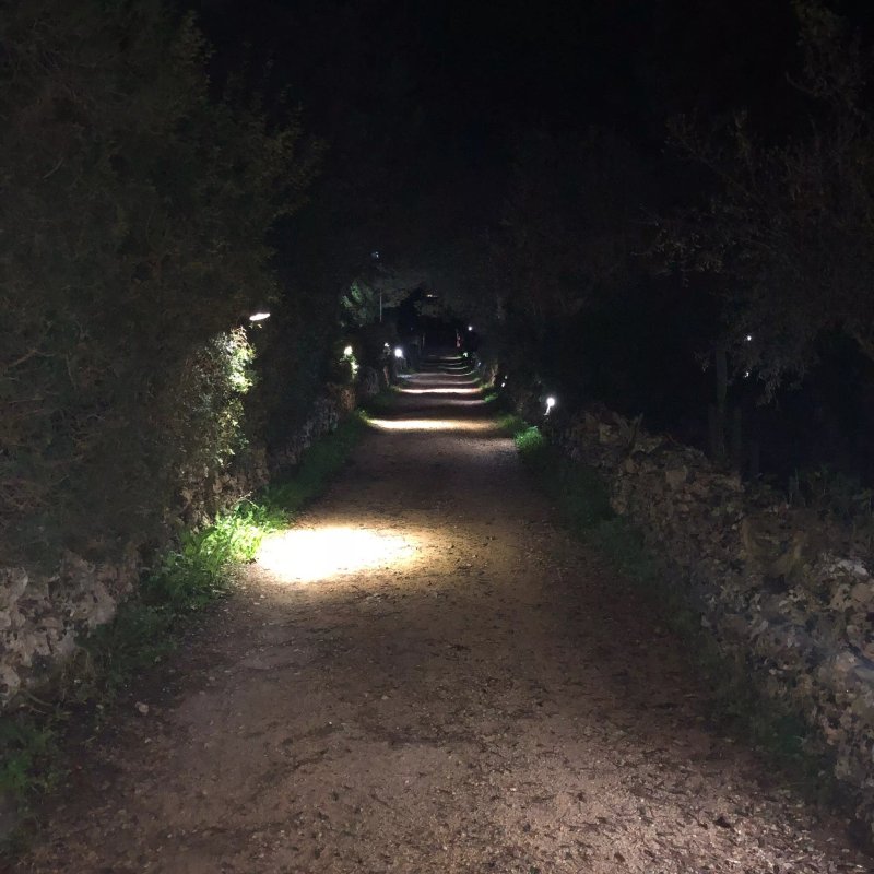 Casina Spina
