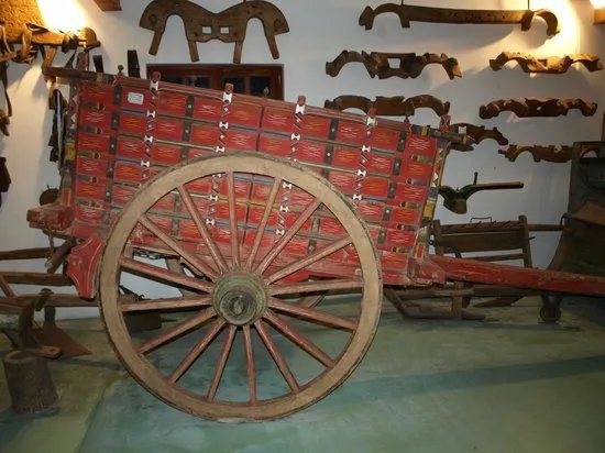 The Main and The Field Ethnographic Museum