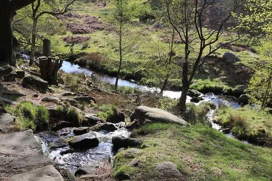 Longshaw Estate