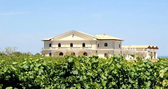 Senatore Vini
