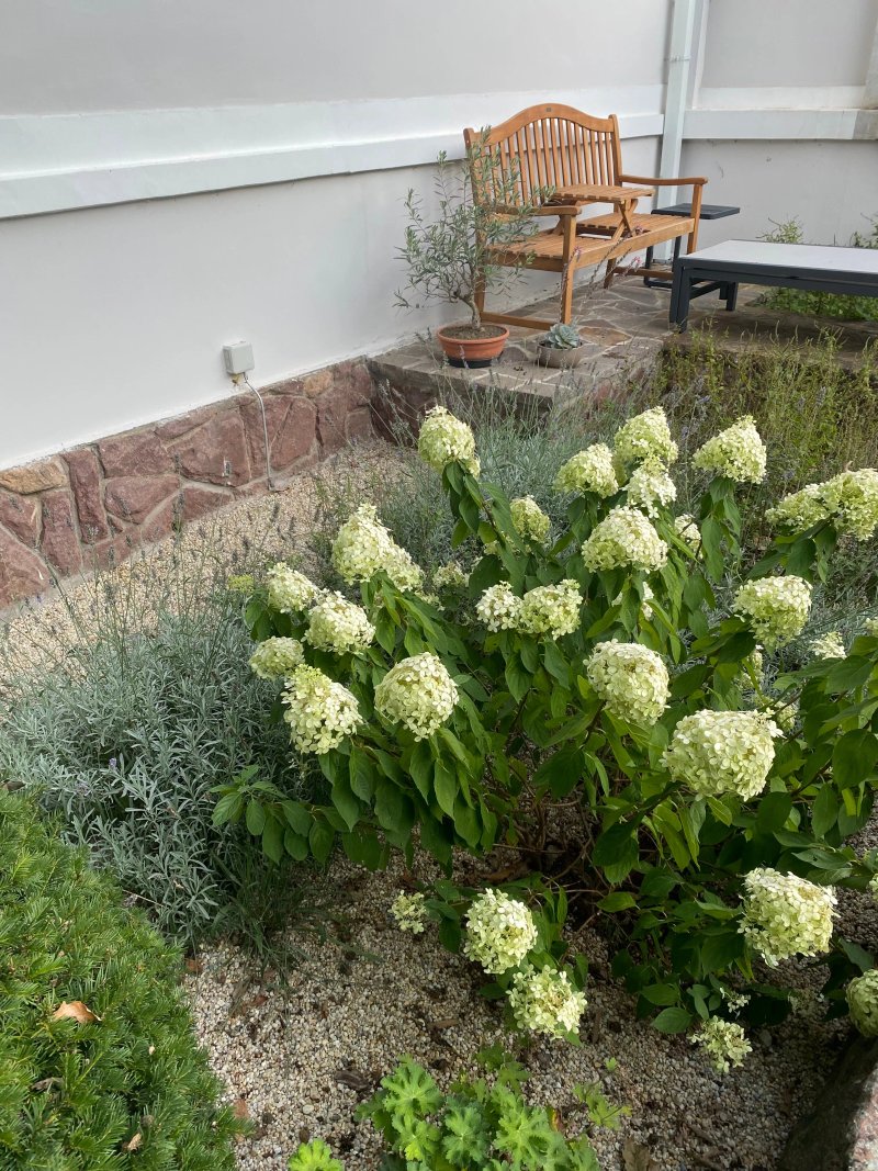 Villa Chez les Amis