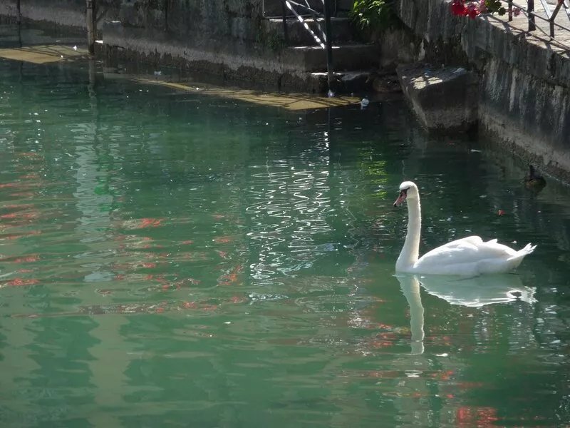 RARE LAKE VIEW apartment *** Annecy 2 steps from lake, beach, old town + garage
