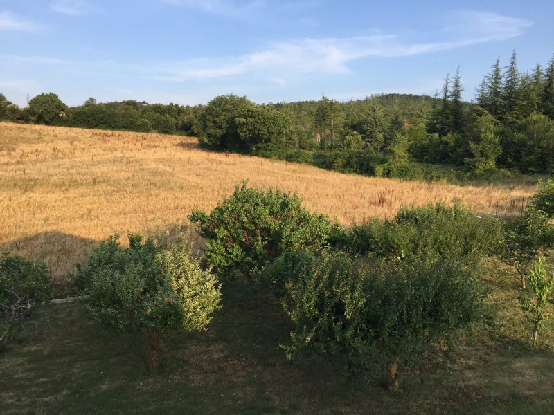 Il Tramonte