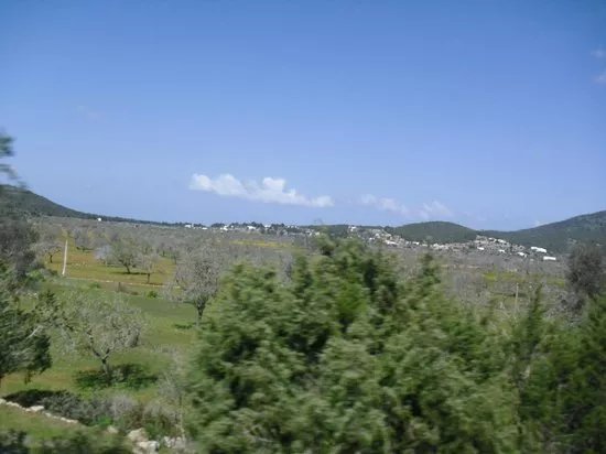 Cami Pla de Corona