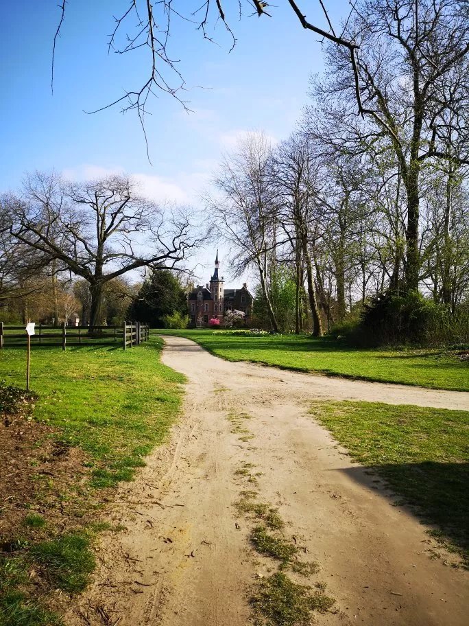 Cabins in the Park