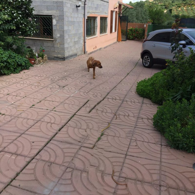 B&B Domus Piras