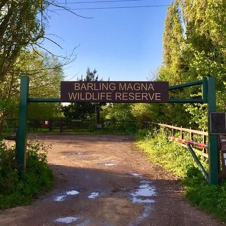 Barling Magna Wildlife Reserve
