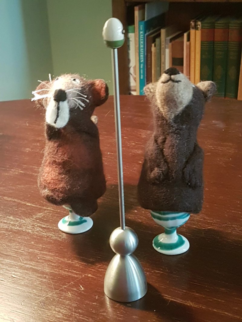 B&B Gerlachus