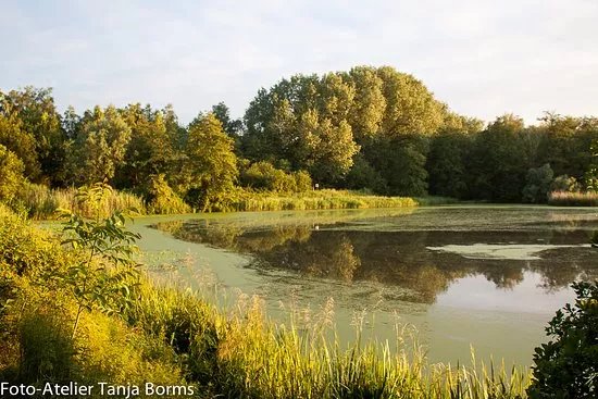 Parks & Nature