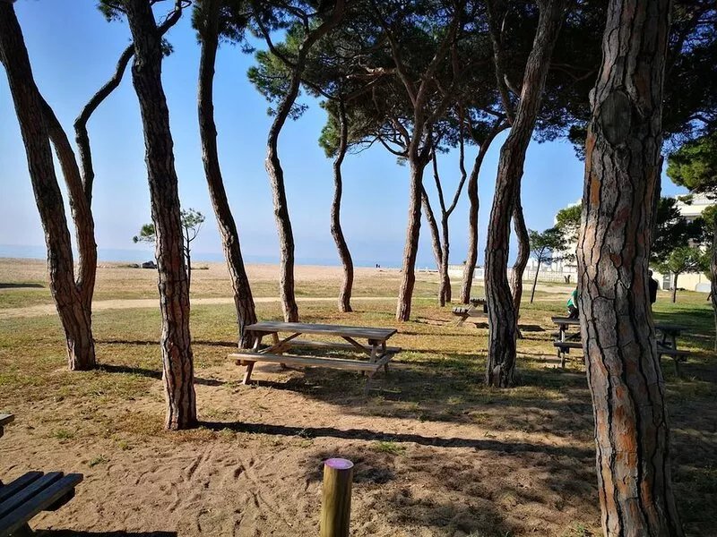 House with large patio / solarium near the beach, in the center of Malgrat
