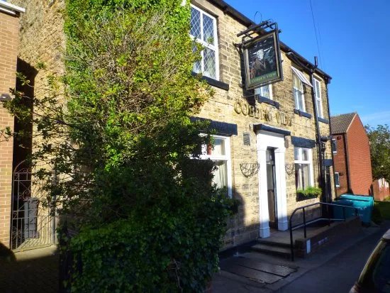 The Cobden View